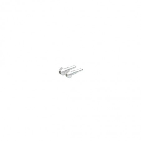 PIVOT PIN SCREW TYPE 12MM PR