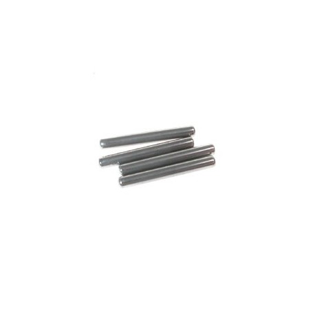 Serpent Pin NRA 2.5x19.8 (4)