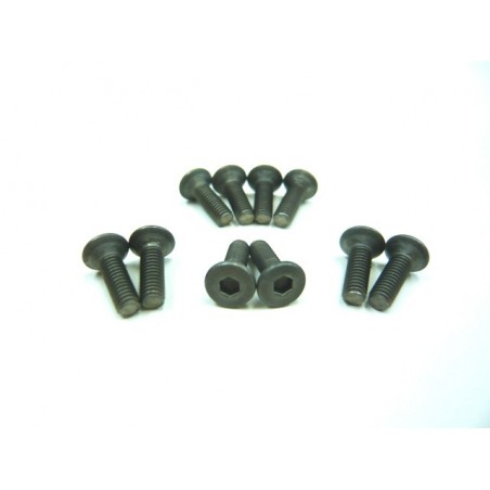 Surub titan M3x10mm (10 buc)